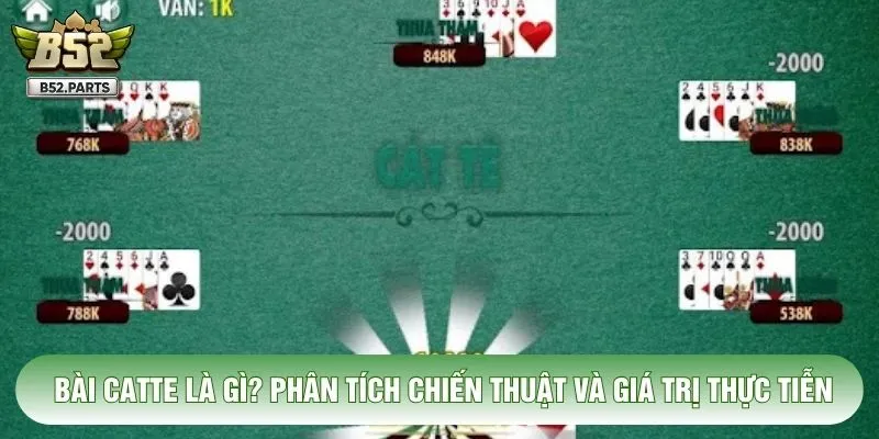 Bài Catte Là Gì? Phân Tích Chiến Thuật Và Giá Trị Thực Tiễn