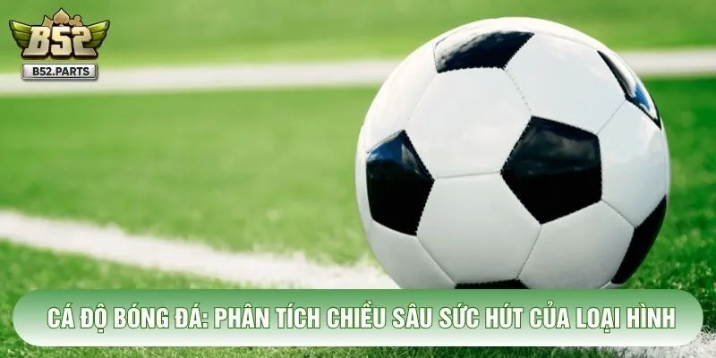 Cá Độ Bóng Đá: Phân Tích Chiều Sâu Sức Hút Của Loại Hình
