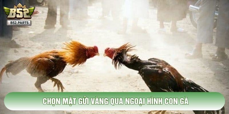 Chọn mặt gửi vàng qua ngoại hình con gà