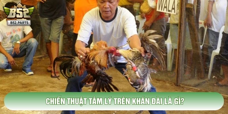 Chiến thuật tâm lý trên khán đài là gì?