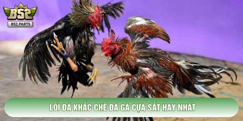 Lối đá khắc chế đá gà cựa sắt hay nhất