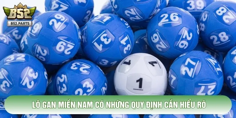 Lô gan miền Nam có những quy định cần hiểu rõ