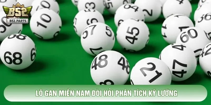 Lô gan miền Nam đòi hỏi phân tích kỹ lưỡng