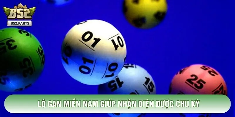 Lô gan miền Nam giúp nhận diện được chu kỳ