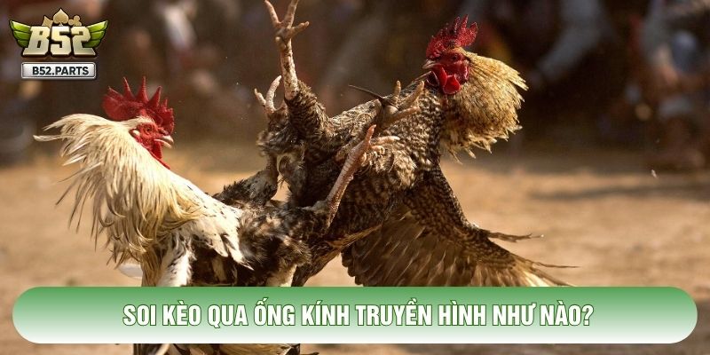 Soi kèo qua ống kính truyền hình như nào?